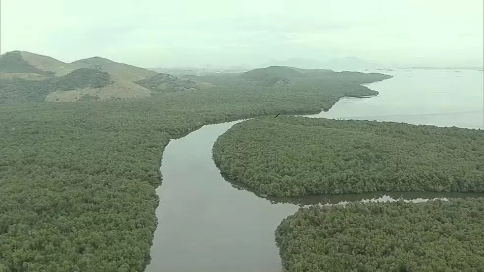 Foto: Reprodução/TV Globo