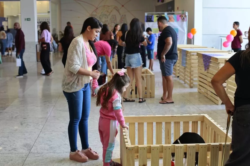 Foto: Renato Fonseca