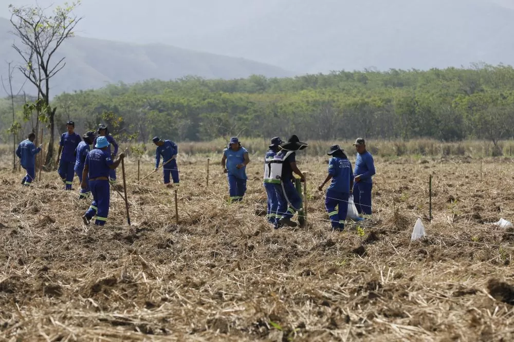 Foto: Luis Alvarenga