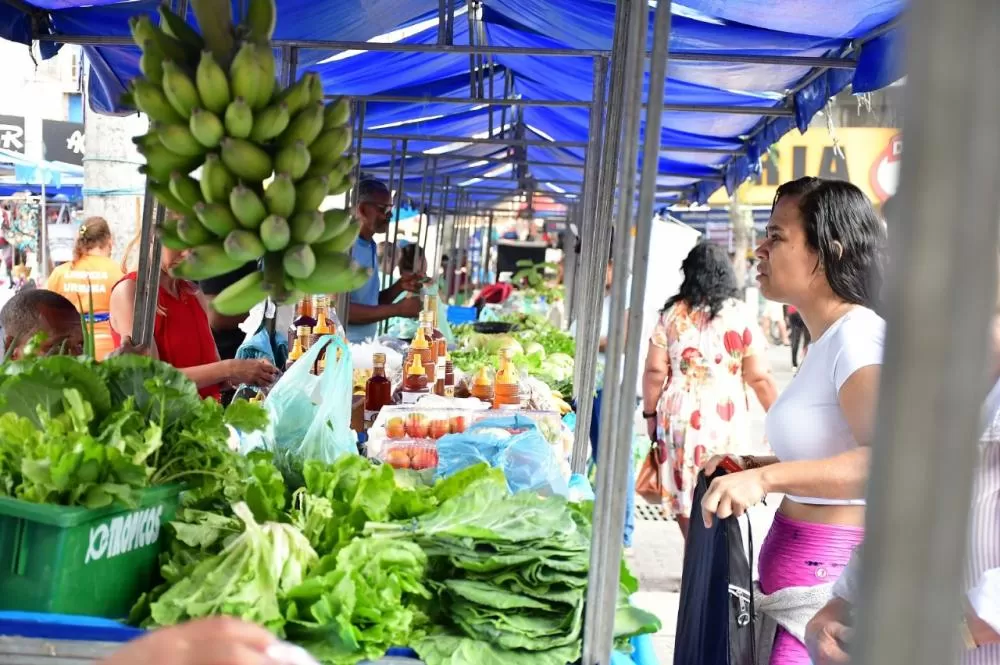 Fotos: Alziro Xavier / PMNI