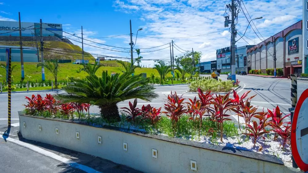 Foto: Gilberto Rocha