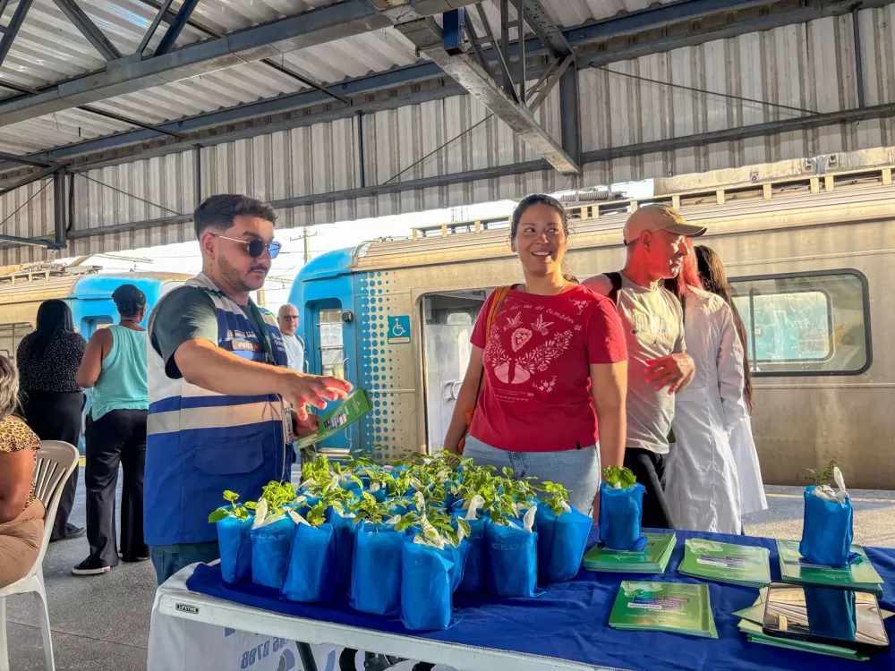 Foto: Suzane Vasconcellos