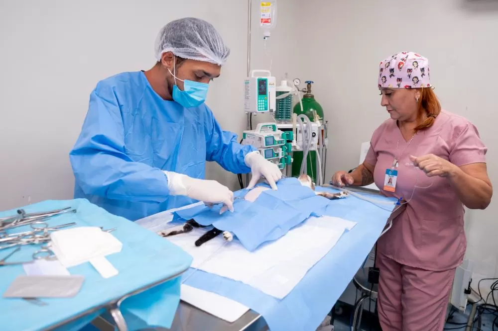 Foto: Débora Câmara