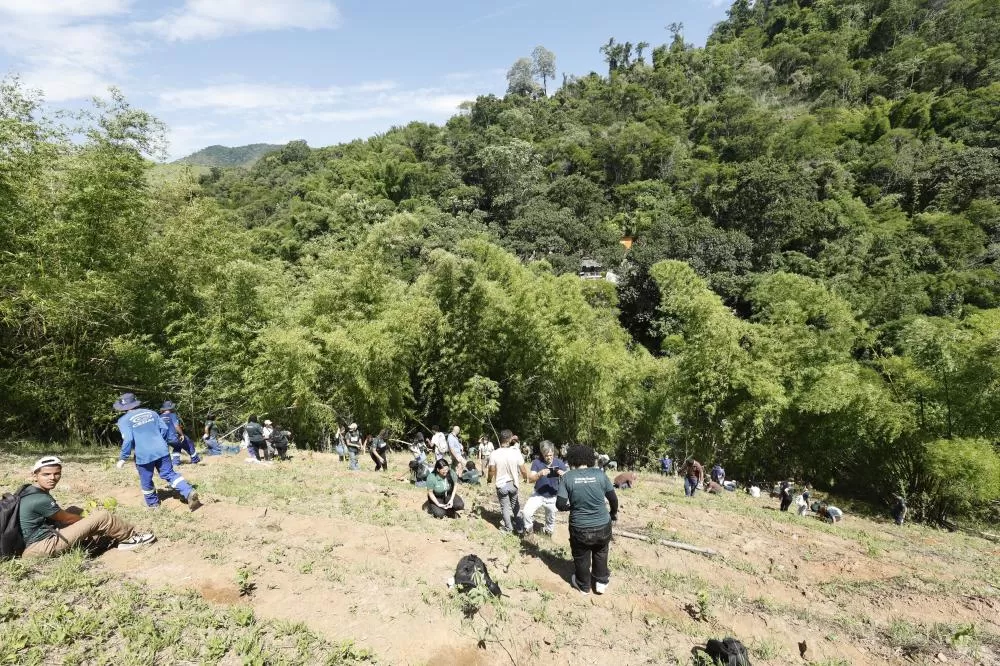 Foto: Luis Alvarenga