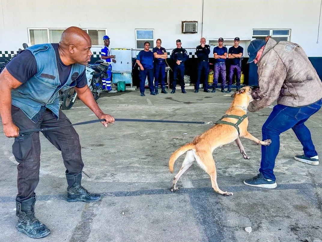 Guarda Municipal de São João de Meriti capacita grupamento de cães para reforçar ações de segurança