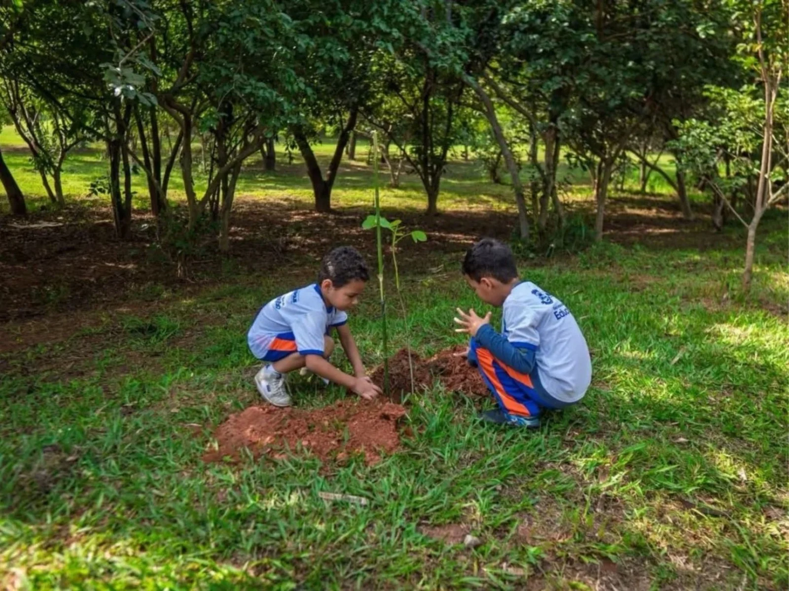 Estudantes de Nilópolis participam de ação ambiental e inauguram bosque em homenagem ao mascote do Parque do Gericinó