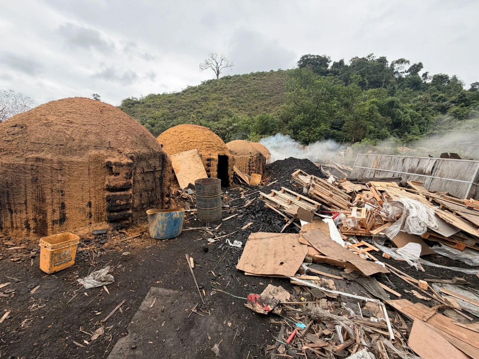 Duque de Caxias tem carvoaria desmobilizada após denúncia de crime ambiental