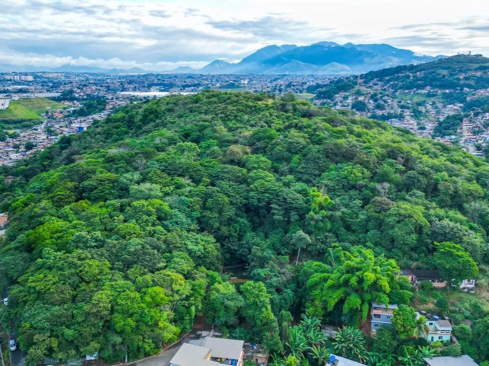 Parque Natural Jardim Jurema avança rumo à criação de Plano de Manejo em São João de Meriti