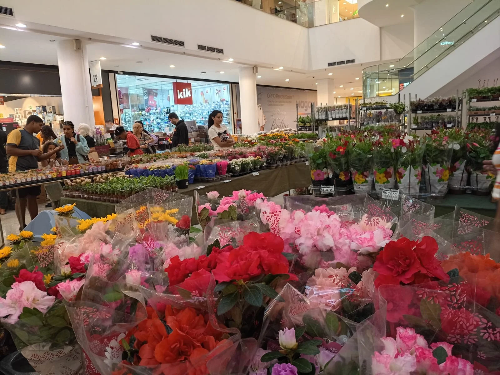 Primavera chega ao TopShopping com Expo Orquídeas e mais de 120 plantas